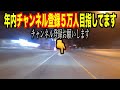 【日帰り】和歌山県民がオススメする和歌山縦断ドライブ！