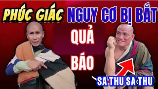 Hà Phúc Giác Âm Mưu Đưa Đoàn Bộ Hành Lên 13 Hạnh Đầu Đàn TuHú Rồi Nhập Kho🍏NHI ĐT VLOG 2