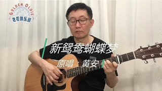 【 雪山飞狗】吉他弹唱翻唱黄安《新鸳鸯蝴蝶梦》中国歌谣