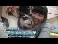 당신에게 가장 필요한 존재가 될게요 l service dog became a miracle to owner with hearing disability