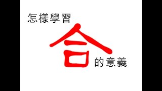 【八字 bazi(有字幕)】怎樣學習合的意義