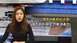 KBTV 뉴스 9 2017년 12월11일 HD