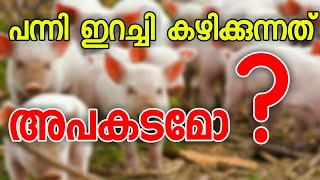 പന്നി ഇറച്ചി കഴിക്കുന്നത് അപകടമോ? Pork meat problems