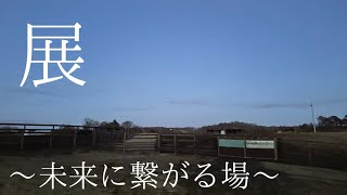 本年最後の種牡馬展示会に行ってきました❄️❄️