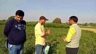 Farmers field visit village mohanpur distt.sultanpur Terry . Faizabad up arpit farmers field back