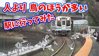 【佐久米駅】人より鳥のほうが多い駅に行ってみた