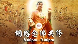 【同步】净土宗网络念佛【第1273天】+ 开示视频《念佛人》 2023-09-12 Online Recitation Session（晚上8pm-9pm (GMT+8))【打开CC字幕】