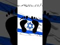 کاش میں یاروں فلسطین کا باسی ہوتا ghazza and falastin nasheed