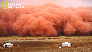 Great Nature: Raging Black Storm - Mongolia | National Geographic Documentary 2025 HD