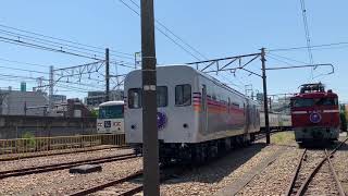 2019.5.25 鉄道のまち 鉄道ふれあいフェア 185系 踊り子号 試乗車