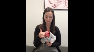 Female Pelvic Anatomy: Vulva vs Vagina