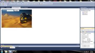 How to make a screen locker with visual basic