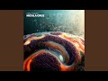 Flashbulb (Mixed)