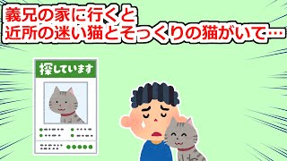 義兄子が近所の迷い猫とそっくりの猫を抱っこしていて義兄嫁は「買った」と言うのだが…【2chスレ】