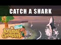 Animal Crossing New Horizons how to catch a shark