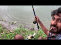 রুই পুটি মাছের ম্যাজিক টোপ বানানো .rui macher top. puti mach top.rohu bite.how to make fish bait