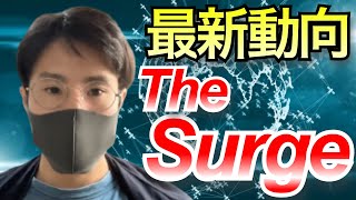 The Surge、次なるEthereumのメジャーアップデートで何が変わる？Ethereumの最新動向を把握しよう！