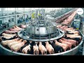 Cómo La Moderna Fábrica De Procesamiento De Carne Vacuna - Una Vaca Millonaria | Agricultura