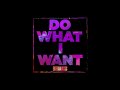 kid cudi do what i want official audio