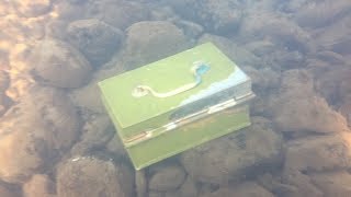 found money safe box diving underwater in river