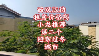 【小龙在版纳】西双版纳，租房价格高，小龙推荐第二个，避寒过冬城市。2024-1-18