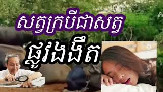 យល់សុបិនឃើញសត្វក្របី #astrology #duet #funny #funny #funny #horoscope #money #cutebaby #ហោរ៉ាសាស្រ្ត