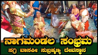 ಸಗ್ರಿ ವಾಸುಕೀ ಸುಬ್ರಮಣ್ಯ ದೇವಸ್ಥಾನ ll ನಾಗಮಂಡಲ 2025