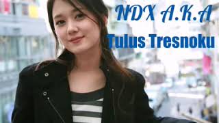 NDX-AKA-TULUS TRESNOKU