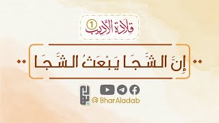 { قلادة الأديب ❶ } | 18 | إنَّ الشَّجَا يَبعَثُ الشَّجَا !