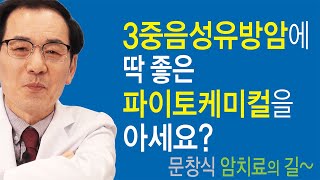 암 치료의 길~3중음성유방암에 딱 좋은 파이토케미칼을 아세요?