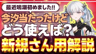 【鳴潮】今汐当たったけどどうすれば？最近初めた人向けコンシ解説！極力省いたとりあえず火力を出す方法！　【切り抜き】　#Vtuber  #鳴潮 #プロジェクトWAVE　【Ver2.0】