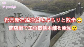 【散歩:都営新宿線沿線】東大島駅で下車して旧中川の河川敷をほのぼの散歩🤓