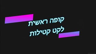 קופה ראשית לקט קטילות חלק 2