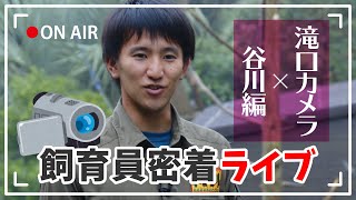 【飼育員密着ライブ】本日はさる特集〜谷川編〜