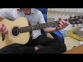 She Bangs The Drums (The Stone Roses) guitar cover fingerstyle