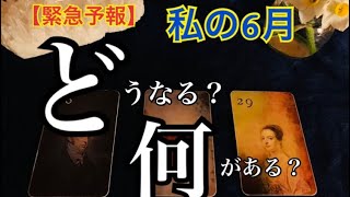 【重要】私の６月🍀何が起こる⁉️どうなる⁉️恐ろしいほど当たるルノルマン🔮