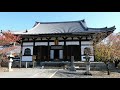 【4k】京都紅葉だより2019　金戒光明寺