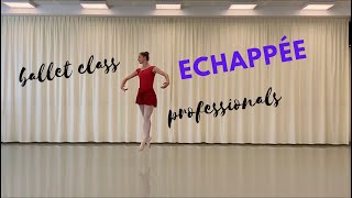 https://www.primaballetclass.com   Echappée - Centre - Left - Professionals