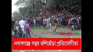 ঢাকার নবাবগঞ্জ থানার নয়নশ্রী ইউনিয়নের বিলপল্লী সবুজ সংঘের মাঠ থেকে গরু দৌড়ের ভিডিও চিত্রে দেখুন