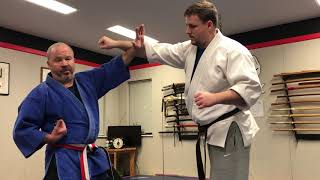 Aiki Jujutsu basic techniques explained.