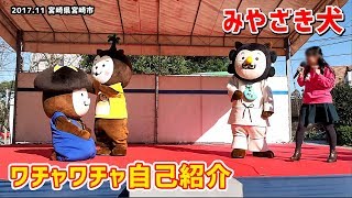 【みやざき犬】ワチャワチャ自己紹介：え！？それ割烹着！？