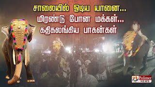 சாலையில் ஓடிய யானை... மிரண்டு போன மக்கள்... கதிகலங்கிய பாகன்கள்..!