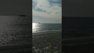 View of the ocean, ship, birds, rocks and snow on a sunny January day