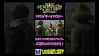 空中デートに嫉妬するコガワ先生がだるいwww【ホグワーツレガシー】【Hogwartslegacy】#7-5 #shorts