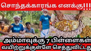 பாரை மீன் பாபர்க்கியூ  கிராமத்து சமையல் | Jaffna Tamil kilavan village cooking