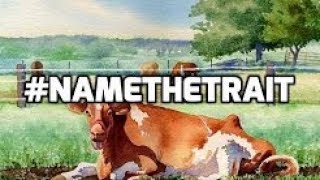 #NameTheTrait Fallacy Exposed
