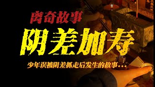 【離奇故事】陰差加壽：少年誤被陰差抓走...【殺豬刀詭實錄】聽書|有聲書|恐怖故事|睡前故事