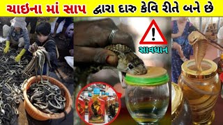 ચીન મા આવી રીતે બને છે સાપ માથી દારૂ 😱 || Snake Wine in China ||