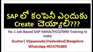 SAP FICO Videos in Telugu |SAP లో కంపెనీ ఎందుకు Create  చెయ్యాలి?| Creation of Company Code in SAP