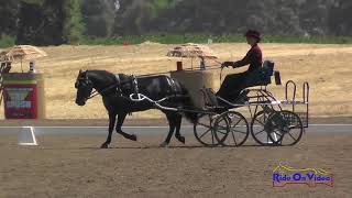 024D Francesca Canfield Preliminary Single Pony Dressage Sargent CDE August 2017